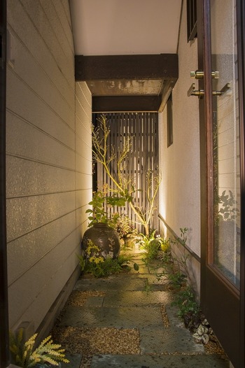 20171115115832.jpgのサムネイル画像