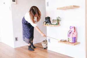 愛猫家必見！猫と一緒に楽しく暮らすためのリフォームポイント
