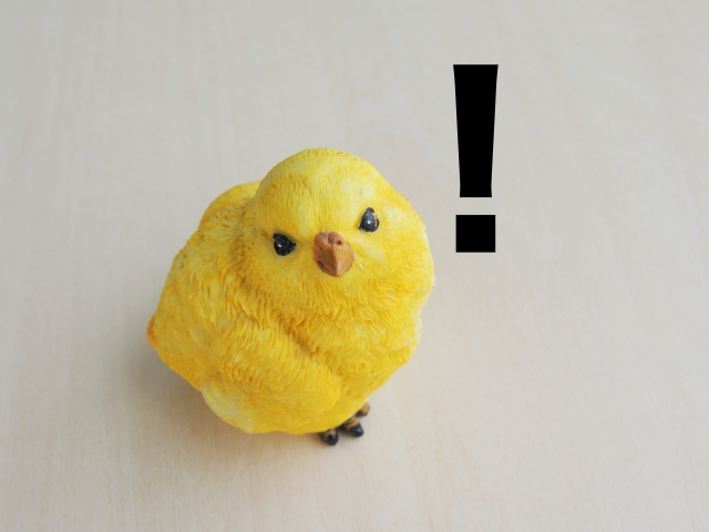 リフォーム後の引き渡しでチェックするべきポイント