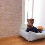 セルフリノベにもオススメ！エコカラットDIYとは