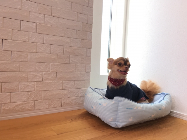 セルフリノベにもオススメ！エコカラットDIYとは