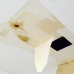 【危険】雨漏りには早めの対策を!