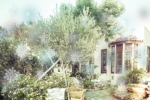 玄関アプローチの素材と特徴をご紹介！