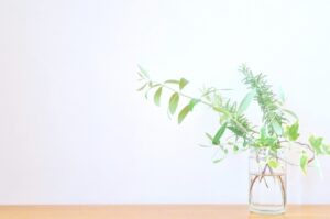 普段のお手入れでクロスの寿命を延ばす！