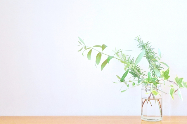 普段のお手入れでクロスの寿命を延ばす！