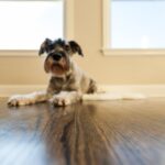 音が気になる？防音リフォーム～床の防音編～