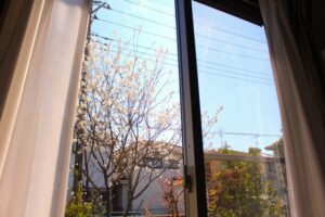 シンボルツリーの魅力とそのメリットをご紹介！