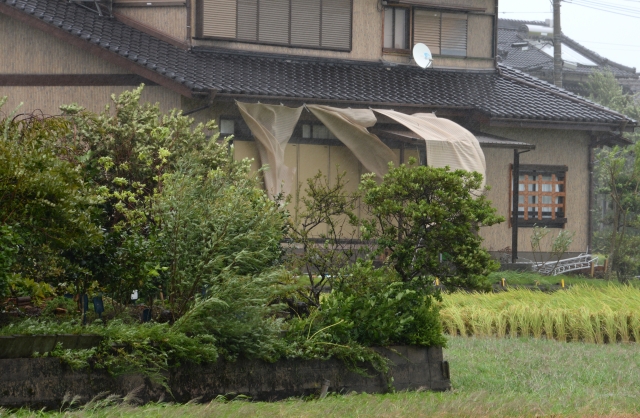 強風と家