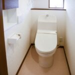 トイレの壁にカビが生えたときの対処法とは？