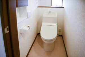 トイレの壁にカビが生えたときの対処法とは？