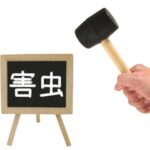 リフォーム時に考えておきたいゴキブリ対策について！