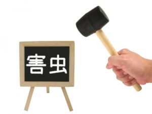 リフォーム時に考えておきたいゴキブリ対策について！