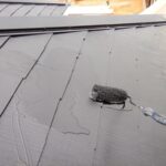 屋根リフォームで大切な住まいを守る!