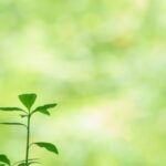 再生可能エネルギー設備設置で固定資産税が軽減！省エネリフォームの減税も解説