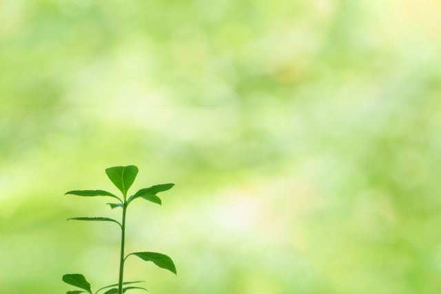 再生可能エネルギー設備設置で固定資産税が軽減！省エネリフォームの減税も解説