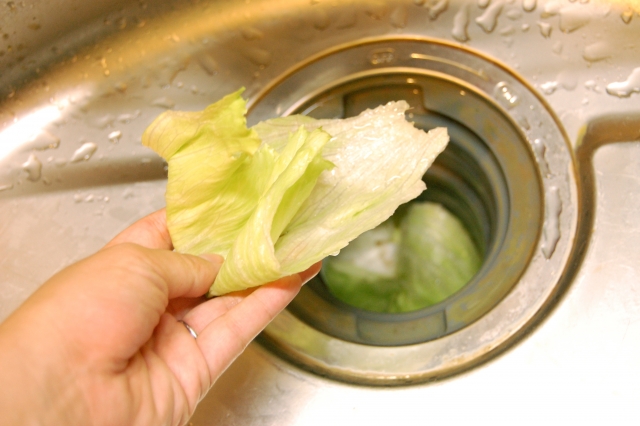 臭いやぬめりも解消！ディスポーザー設置で生ごみ処理も楽々