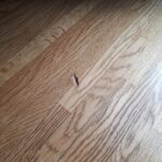 気になるフローリングのへこみはすぐ直すべき？放置のリスクと予防策