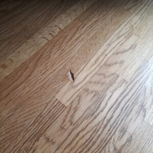 気になるフローリングのへこみはすぐ直すべき？放置のリスクと予防策