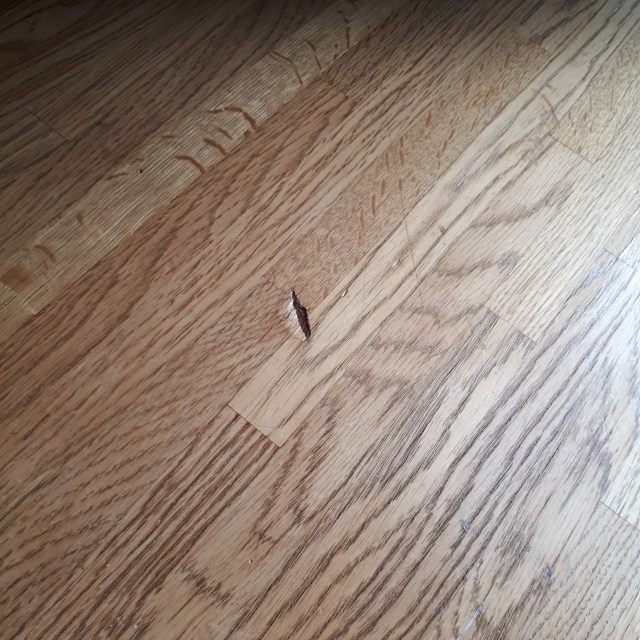 気になるフローリングのへこみはすぐ直すべき？放置のリスクと予防策