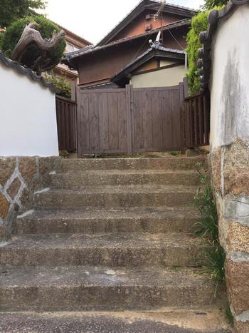 101564648_3887727457966434_5447485911199645696_n (1).jpg