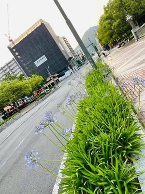 197933045_3059937507551195_7683137638278653492_n (1).jpg