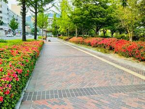 200824791_3059937517551194_2354064209709657820_n (1).jpg