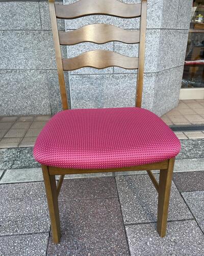 313403500_660810592164888_1172886655144281460_n (1).jpg