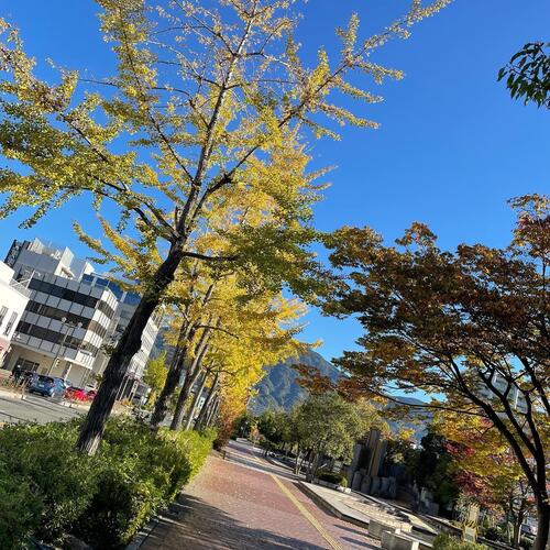 314705981_665785325000748_8058889400354398735_n (1).jpg