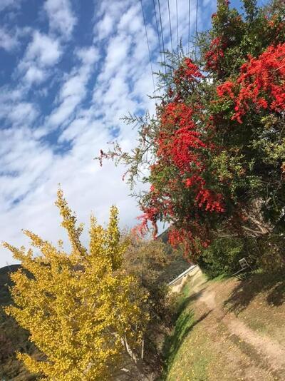 129346326_2910595232485424_2537765927713821545_n (1).jpg